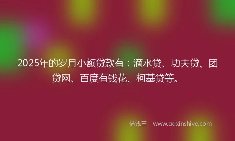 2025年的岁月小额贷款有：滴水贷、功夫贷、团贷网、百度有钱花、柯基贷等。