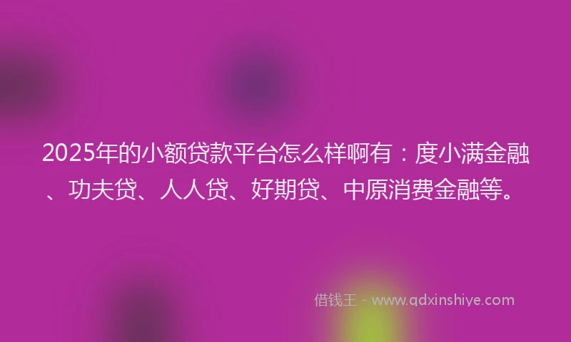 2025年的小额贷款平台怎么样啊有：度小满金融、功夫贷、人人贷、好期贷、中原消费金融等。