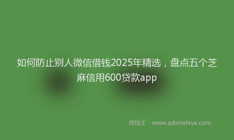 如何防止别人微信借钱2025年精选，盘点五个芝麻信用600贷款app