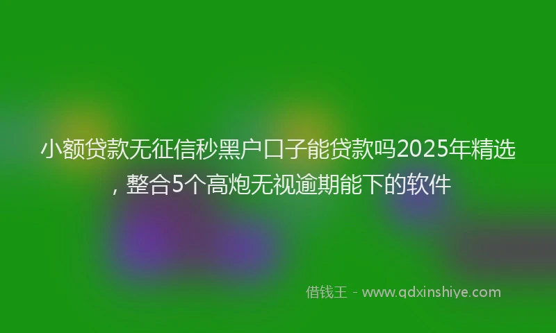 小额贷款无征信秒黑户口子能贷款吗2025年精选，整合5个高炮无视逾期能下的软件