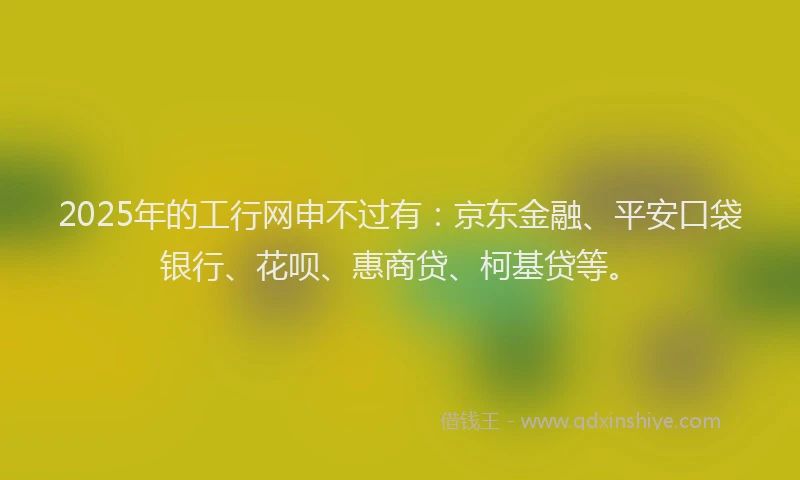 2025年的工行网申不过有：京东金融、平安口袋银行、花呗、惠商贷、柯基贷等。