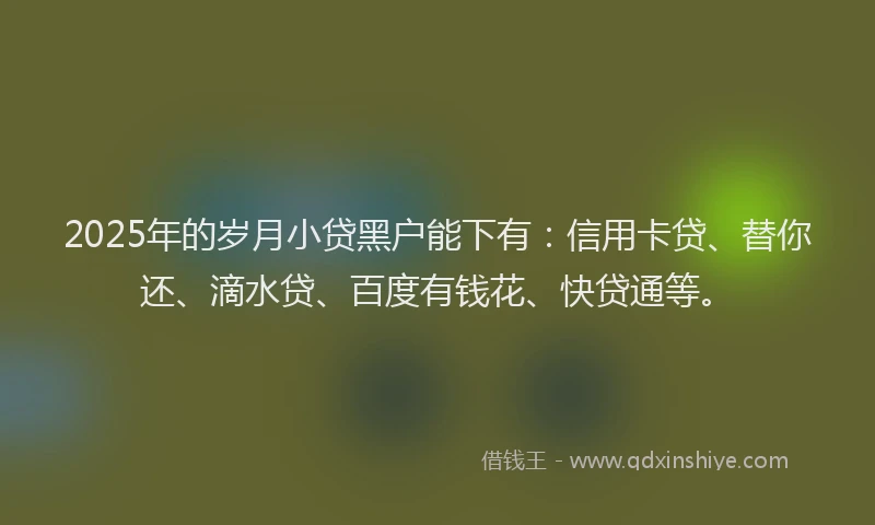 2025年的岁月小贷黑户能下有：信用卡贷、替你还、滴水贷、百度有钱花、快贷通等。