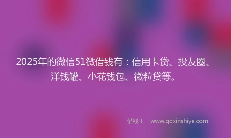 2025年的微信51微借钱有：信用卡贷、投友圈、洋钱罐、小花钱包、微粒贷等。