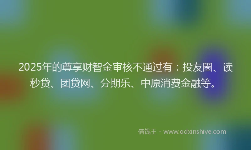 2025年的尊享财智金审核不通过有：投友圈、读秒贷、团贷网、分期乐、中原消费金融等。