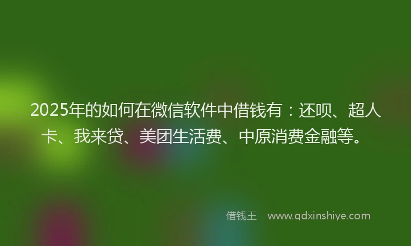 2025年的如何在微信软件中借钱有：还呗、超人卡、我来贷、美团生活费、中原消费金融等。