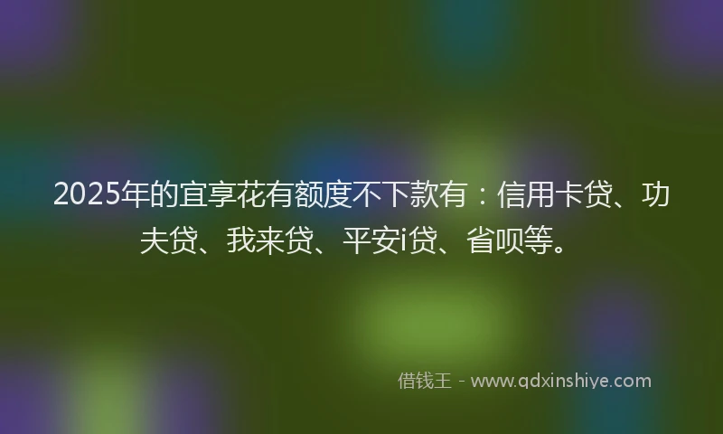 2025年的宜享花有额度不下款有：信用卡贷、功夫贷、我来贷、平安i贷、省呗等。