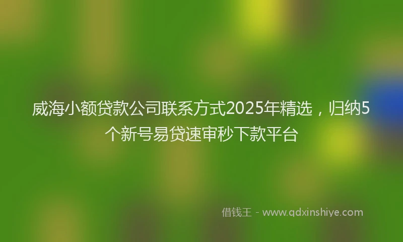 威海小额贷款公司联系方式2025年精选，归纳5个新号易贷速审秒下款平台