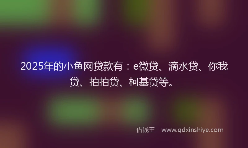 2025年的小鱼网贷款有：e微贷、滴水贷、你我贷、拍拍贷、柯基贷等。