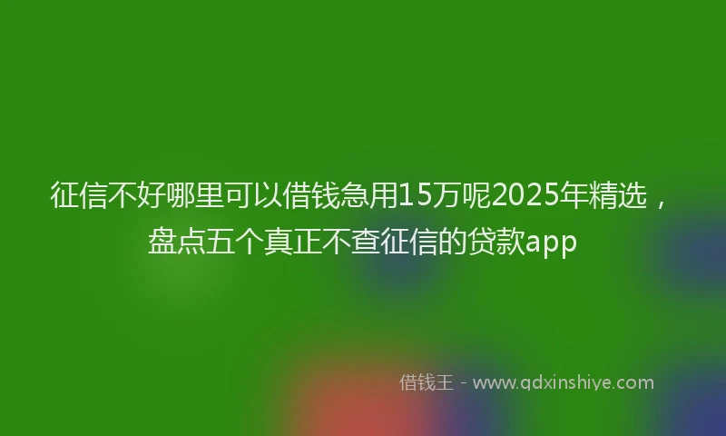 征信不好哪里可以借钱急用15万呢2025年精选，盘点五个真正不查征信的贷款app