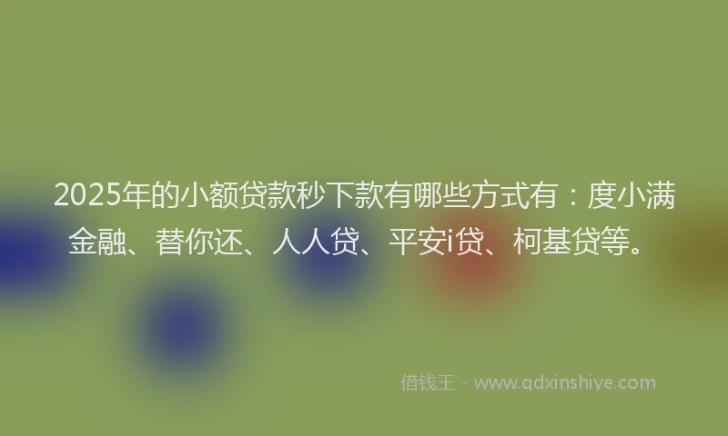 2025年的小额贷款秒下款有哪些方式有：度小满金融、替你还、人人贷、平安i贷、柯基贷等。