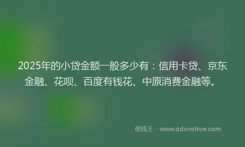 2025年的小贷金额一般多少有：信用卡贷、京东金融、花呗、百度有钱花、中原消费金融等。
