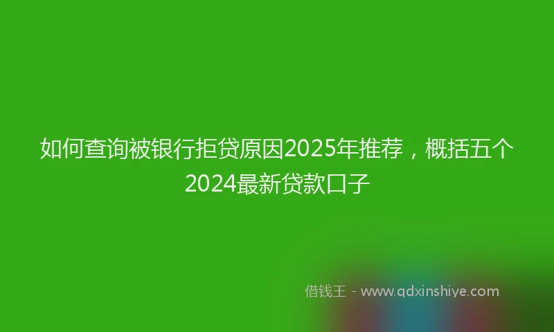 如何查询被银行拒贷原因2025年推荐，概括五个2024最新贷款口子
