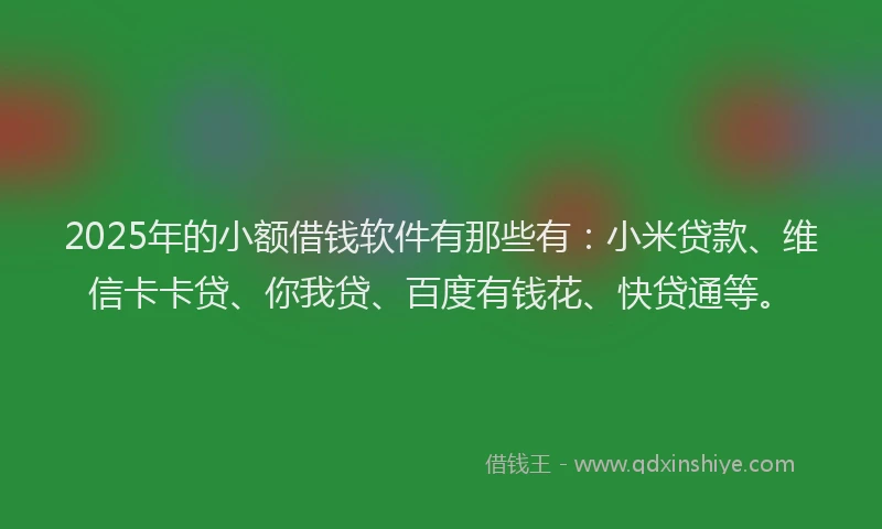 2025年的小额借钱软件有那些有：小米贷款、维信卡卡贷、你我贷、百度有钱花、快贷通等。
