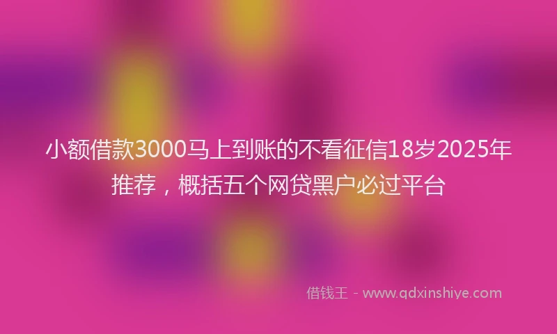 小额借款3000马上到账的不看征信18岁2025年推荐，概括五个网贷黑户必过平台
