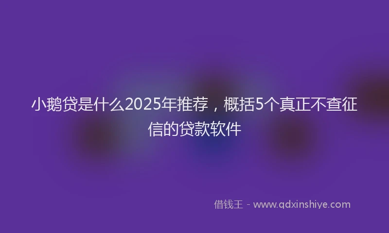 小鹅贷是什么2025年推荐，概括5个真正不查征信的贷款软件