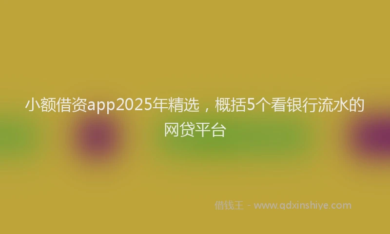小额借资app2025年精选，概括5个看银行流水的网贷平台