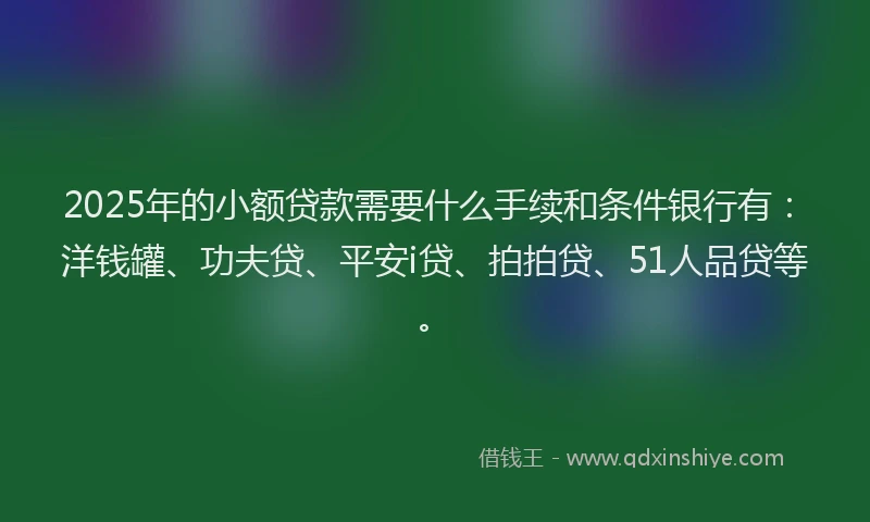 2025年的小额贷款需要什么手续和条件银行有：洋钱罐、功夫贷、平安i贷、拍拍贷、51人品贷等。