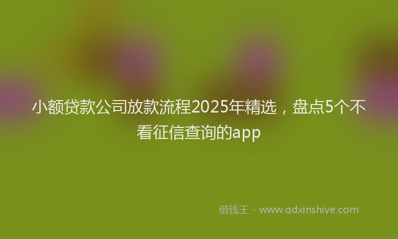 小额贷款公司放款流程2025年精选，盘点5个不看征信查询的app