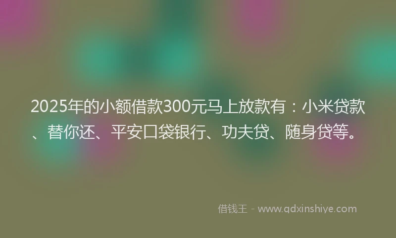 2025年的小额借款300元马上放款有：小米贷款、替你还、平安口袋银行、功夫贷、随身贷等。