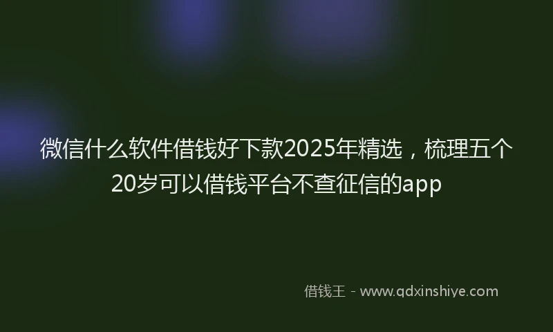 微信什么软件借钱好下款2025年精选，梳理五个20岁可以借钱平台不查征信的app