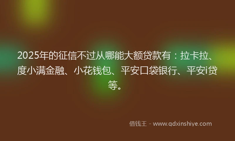 2025年的征信不过从哪能大额贷款有：拉卡拉、度小满金融、小花钱包、平安口袋银行、平安i贷等。