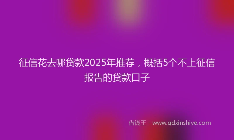 征信花去哪贷款2025年推荐，概括5个不上征信报告的贷款口子