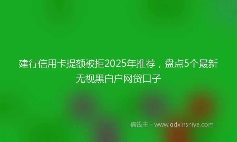 建行信用卡提额被拒2025年推荐，盘点5个最新无视黑白户网贷口子