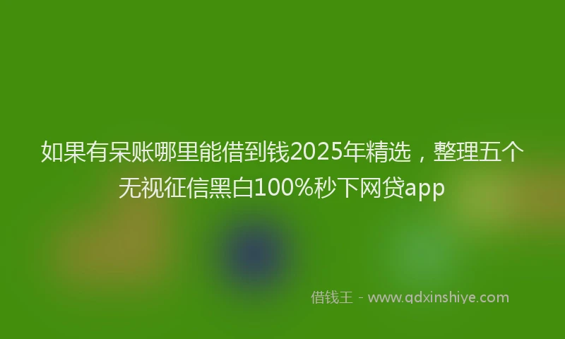 如果有呆账哪里能借到钱2025年精选，整理五个无视征信黑白100%秒下网贷app