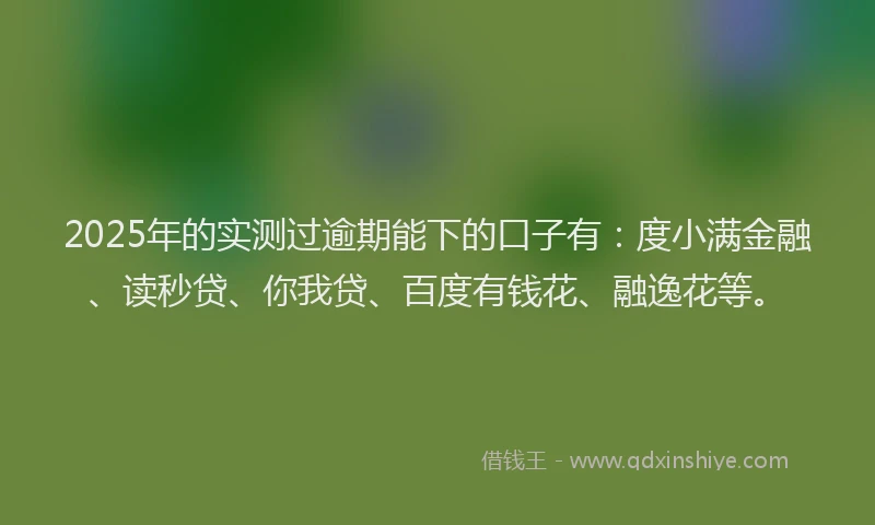 2025年的实测过逾期能下的口子有：度小满金融、读秒贷、你我贷、百度有钱花、融逸花等。