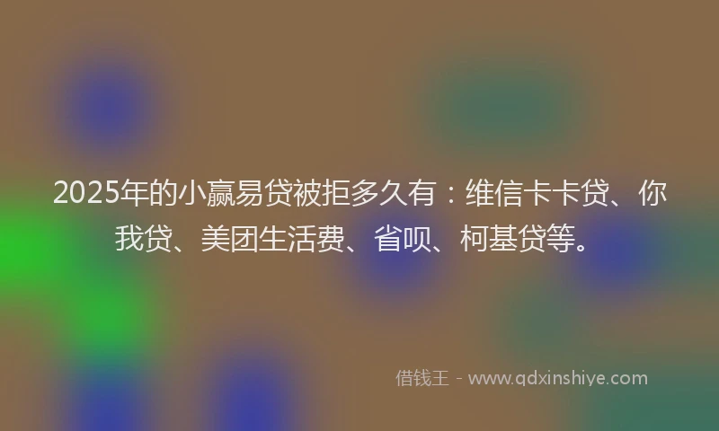 2025年的小赢易贷被拒多久有：维信卡卡贷、你我贷、美团生活费、省呗、柯基贷等。
