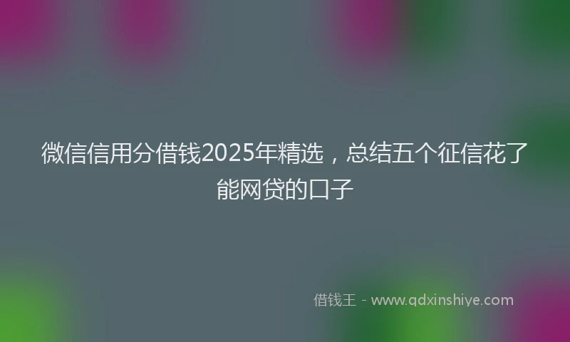 微信信用分借钱2025年精选，总结五个征信花了能网贷的口子