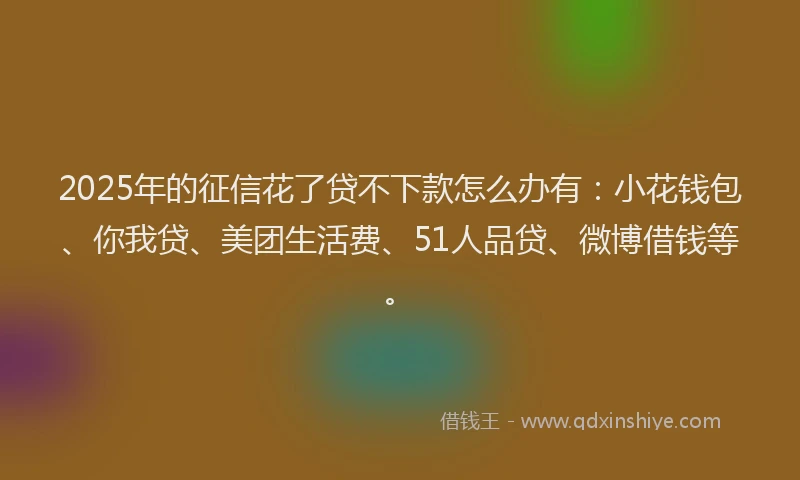 2025年的征信花了贷不下款怎么办有：小花钱包、你我贷、美团生活费、51人品贷、微博借钱等。