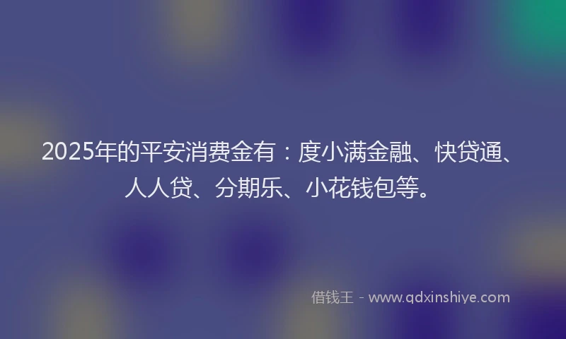 2025年的平安消费金有：度小满金融、快贷通、人人贷、分期乐、小花钱包等。
