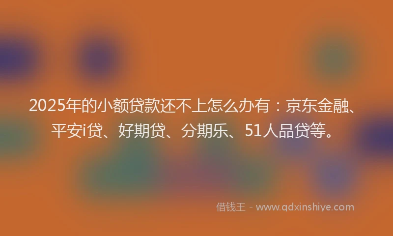 2025年的小额贷款还不上怎么办有：京东金融、平安i贷、好期贷、分期乐、51人品贷等。