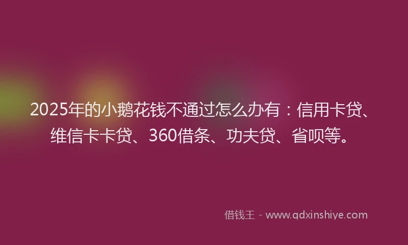 2025年的小鹅花钱不通过怎么办有：信用卡贷、维信卡卡贷、360借条、功夫贷、省呗等。