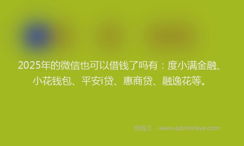 2025年的微信也可以借钱了吗有：度小满金融、小花钱包、平安i贷、惠商贷、融逸花等。
