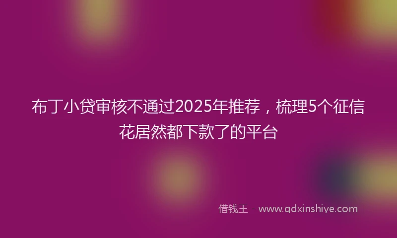 布丁小贷审核不通过2025年推荐，梳理5个征信花居然都下款了的平台