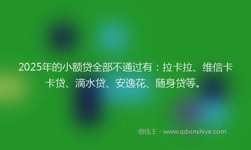 2025年的小额贷全部不通过有：拉卡拉、维信卡卡贷、滴水贷、安逸花、随身贷等。