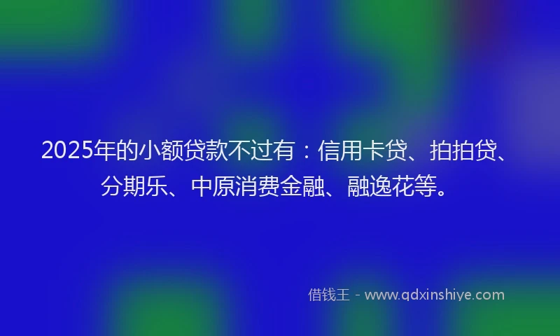 2025年的小额贷款不过有：信用卡贷、拍拍贷、分期乐、中原消费金融、融逸花等。