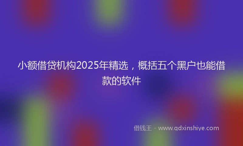 小额借贷机构2025年精选，概括五个黑户也能借款的软件