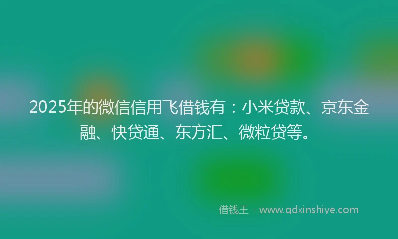 2025年的微信信用飞借钱有：小米贷款、京东金融、快贷通、东方汇、微粒贷等。