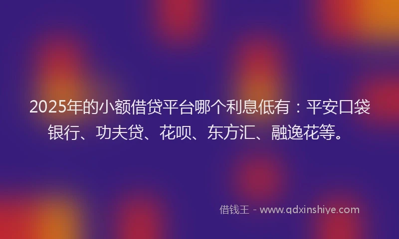 2025年的小额借贷平台哪个利息低有：平安口袋银行、功夫贷、花呗、东方汇、融逸花等。