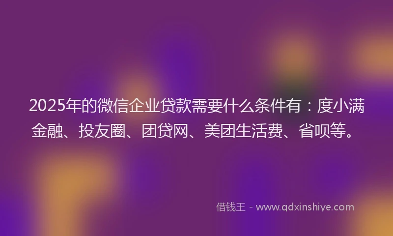 2025年的微信企业贷款需要什么条件有：度小满金融、投友圈、团贷网、美团生活费、省呗等。