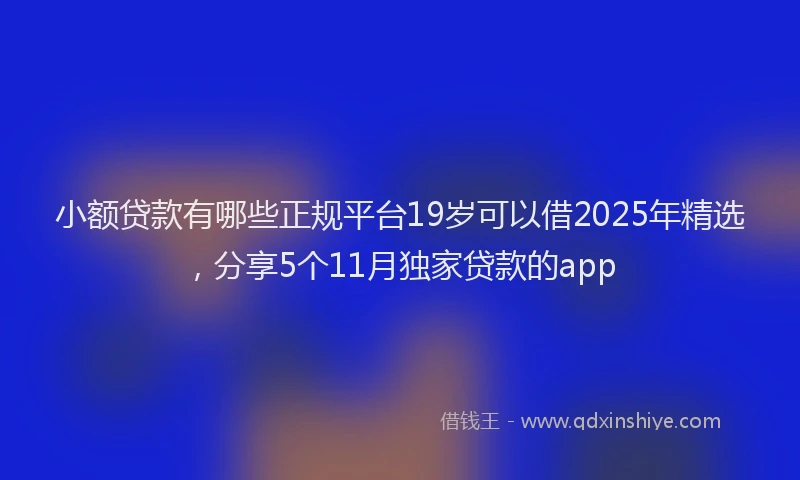 小额贷款有哪些正规平台19岁可以借2025年精选，分享5个11月独家贷款的app