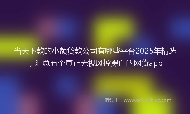 当天下款的小额贷款公司有哪些平台2025年精选，汇总五个真正无视风控黑白的网贷app