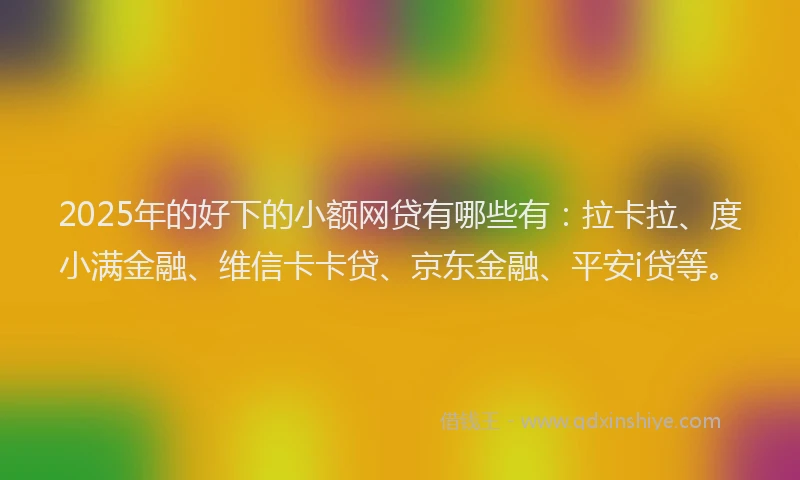 2025年的好下的小额网贷有哪些有：拉卡拉、度小满金融、维信卡卡贷、京东金融、平安i贷等。