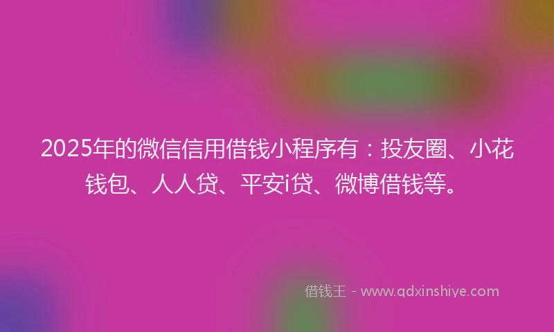2025年的微信信用借钱小程序有：投友圈、小花钱包、人人贷、平安i贷、微博借钱等。