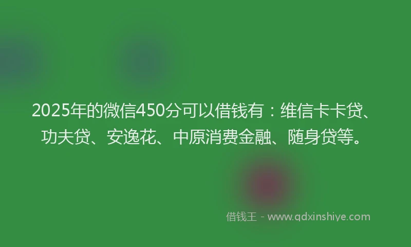 2025年的微信450分可以借钱有：维信卡卡贷、功夫贷、安逸花、中原消费金融、随身贷等。