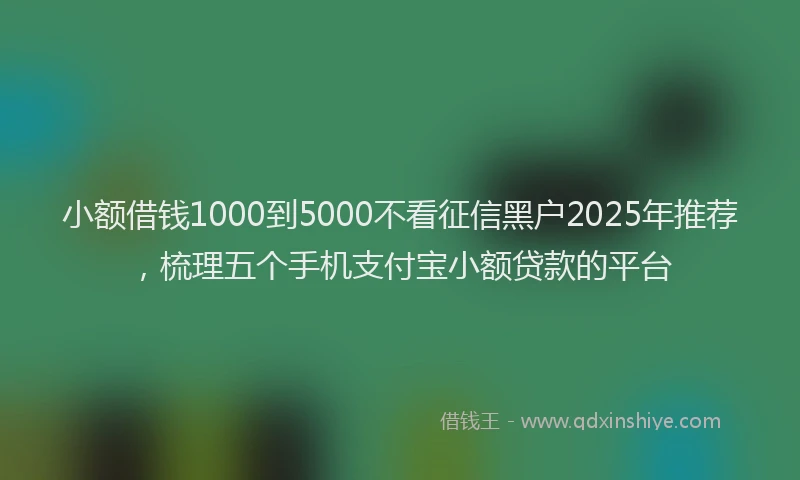 小额借钱1000到5000不看征信黑户2025年推荐，梳理五个手机支付宝小额贷款的平台