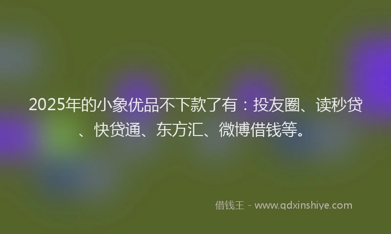 2025年的小象优品不下款了有：投友圈、读秒贷、快贷通、东方汇、微博借钱等。